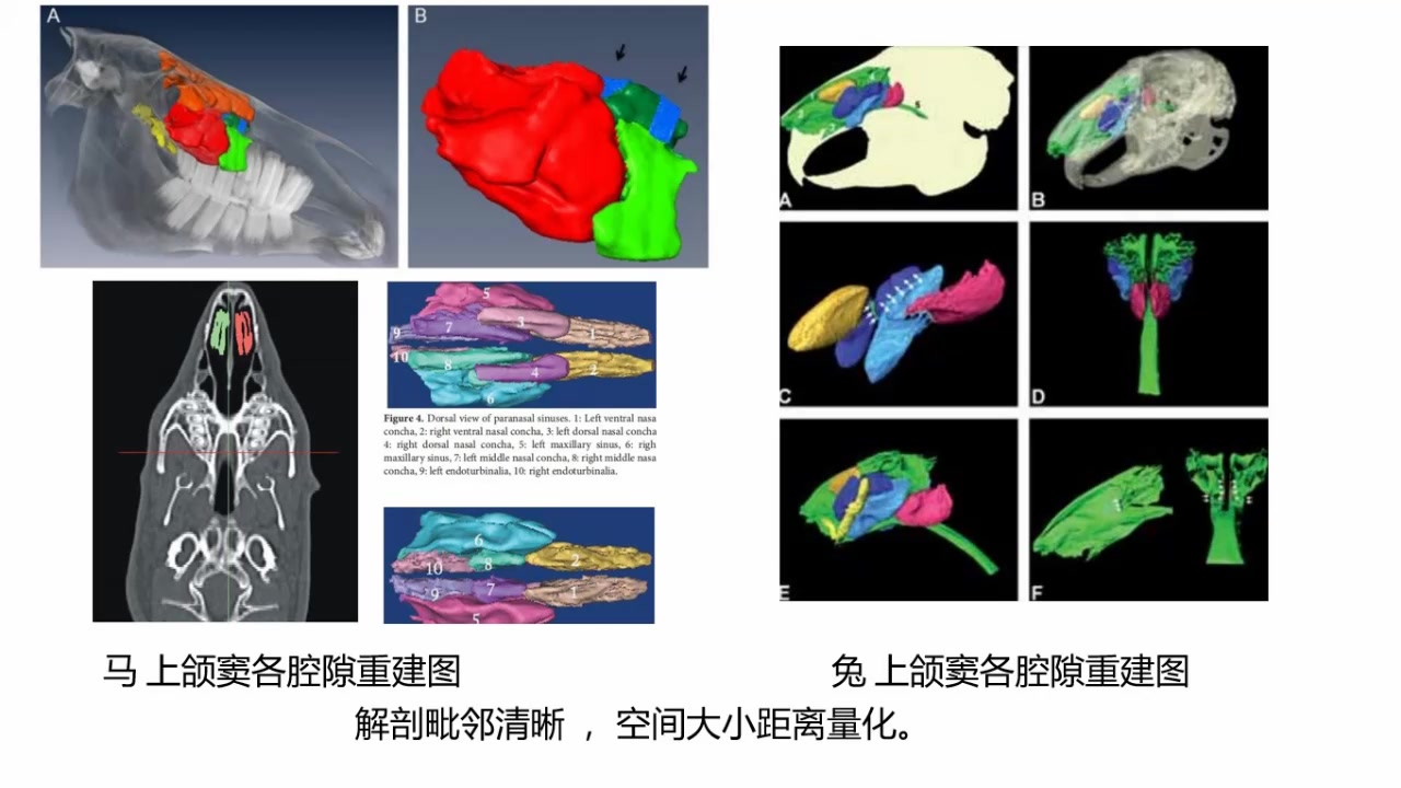 mimics软件科研及口腔临床应用哔哩哔哩bilibili