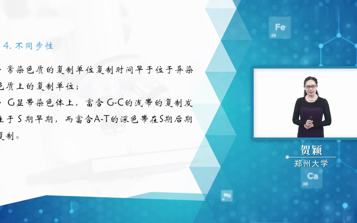 13.6 细胞核的功能哔哩哔哩bilibili