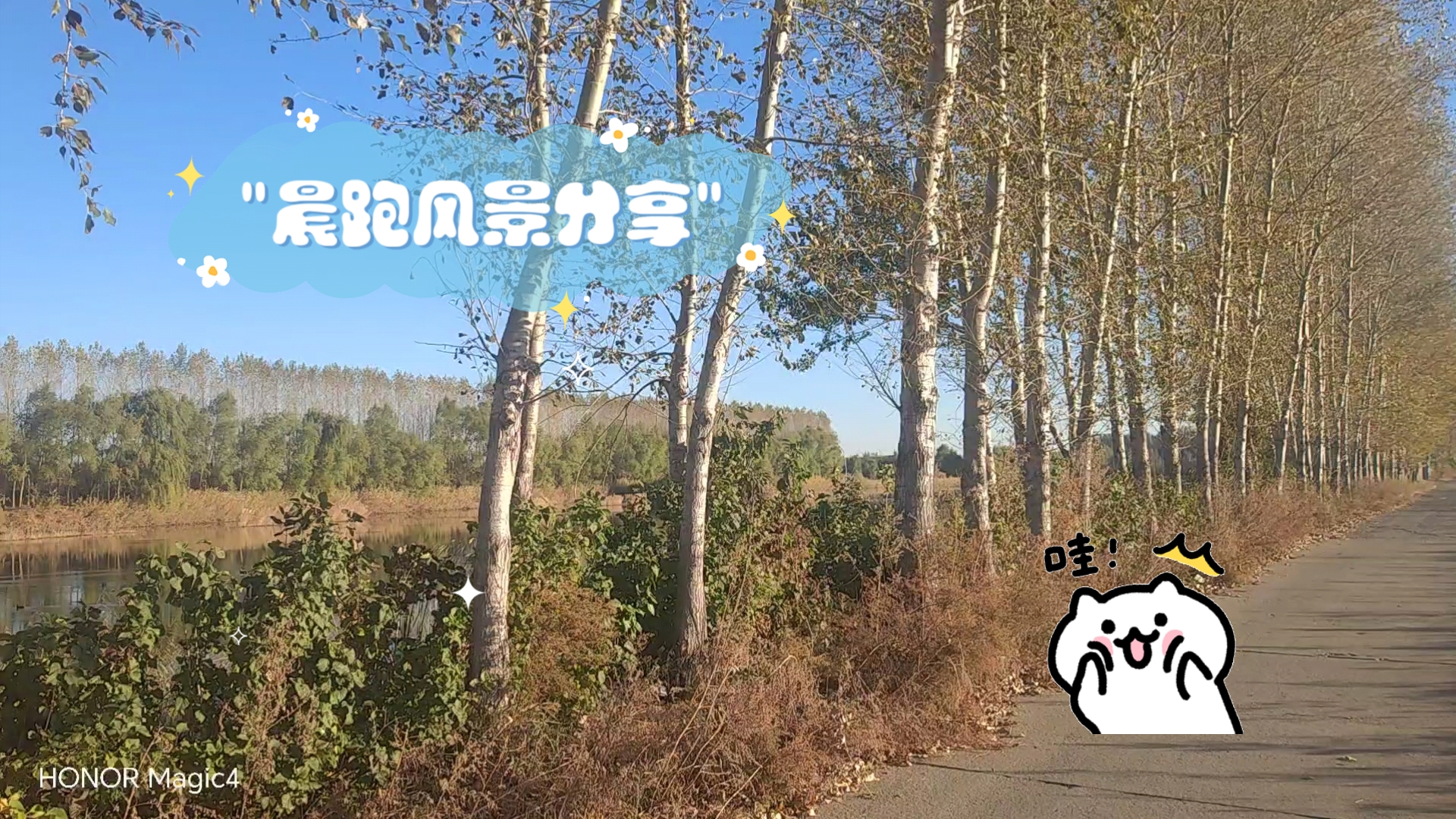 晨跑风景分享哔哩哔哩bilibili