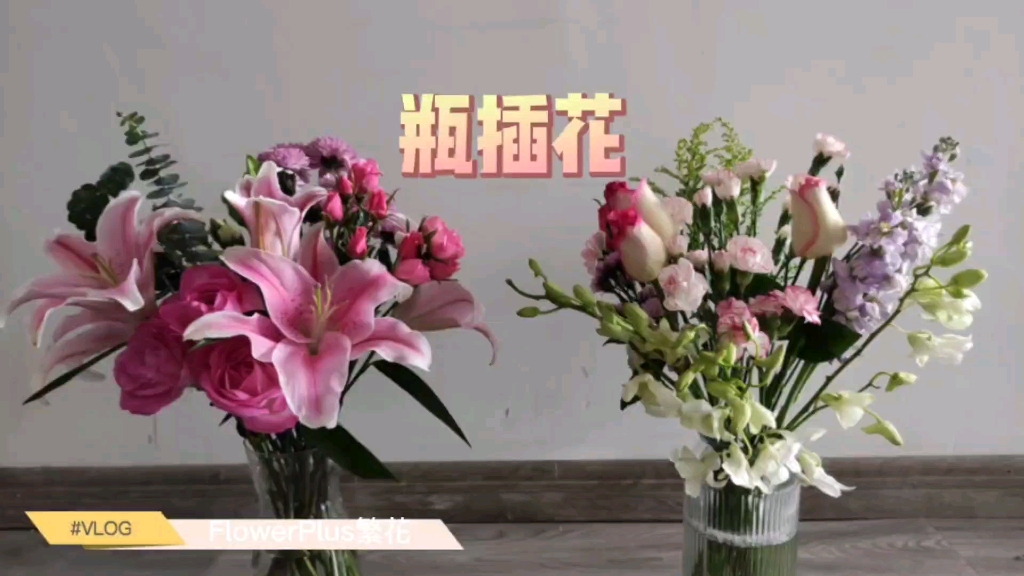 【随手拍】Jenin's VLOG 花加FlowerPlus包月鲜花 效果展示哔哩哔哩bilibili