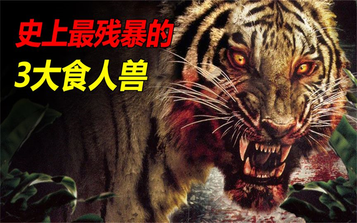 史上最残暴的3大食人兽,母老虎7年吃掉436人!