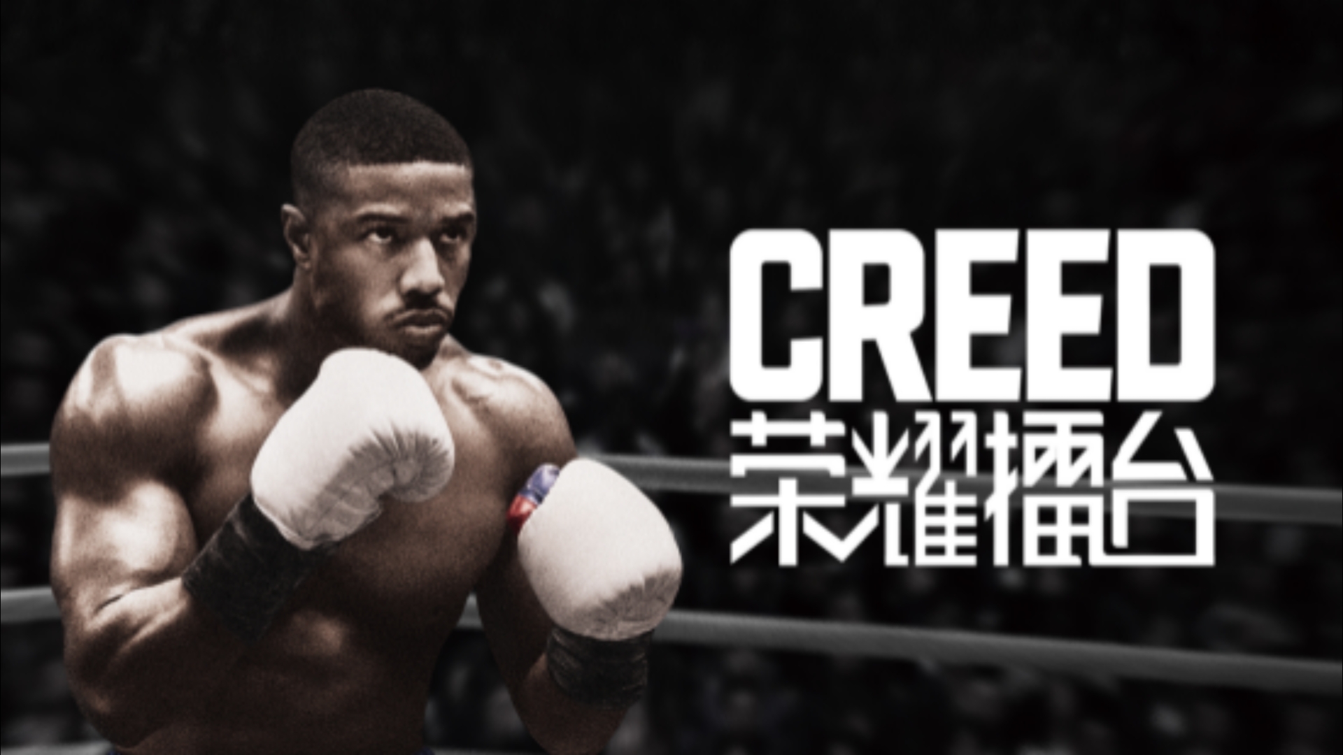 [图]VR拳击游戏精品《Creed:荣耀擂台》最高难度  生涯模式通关