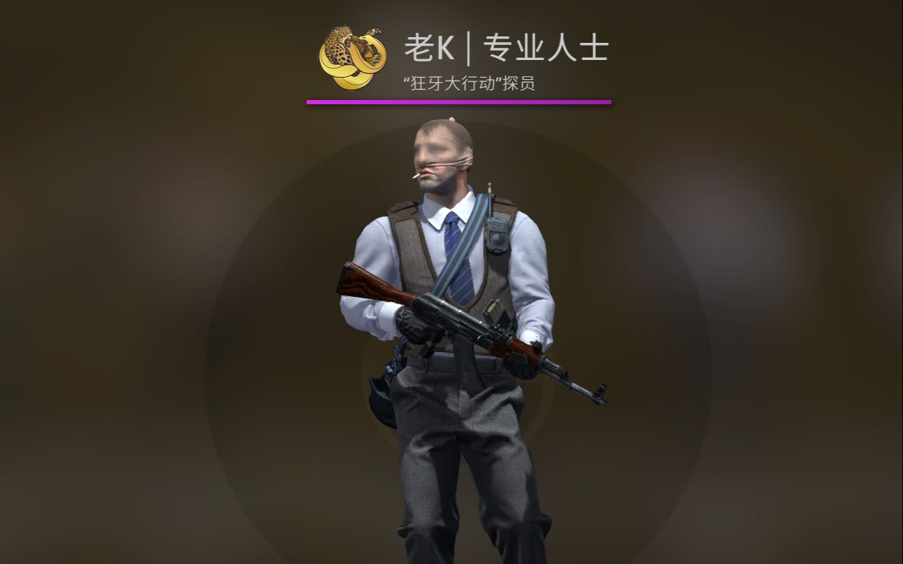 csgo老k探员图片图片