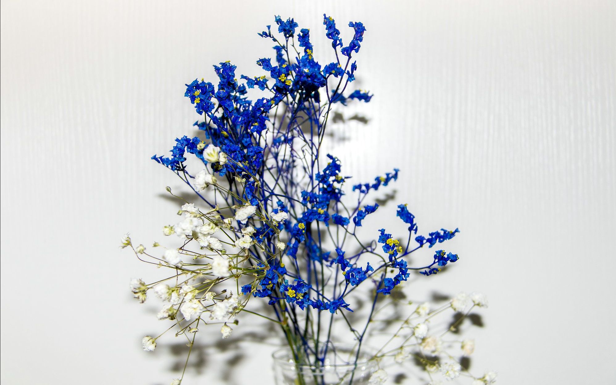 2017寒假 用或其他应用扫描二维码 硬币- 点赞 bgm:reaction-sar 评