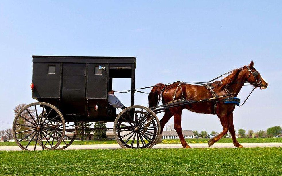 当邮递马车变成大调……_哔哩哔哩_bilibili