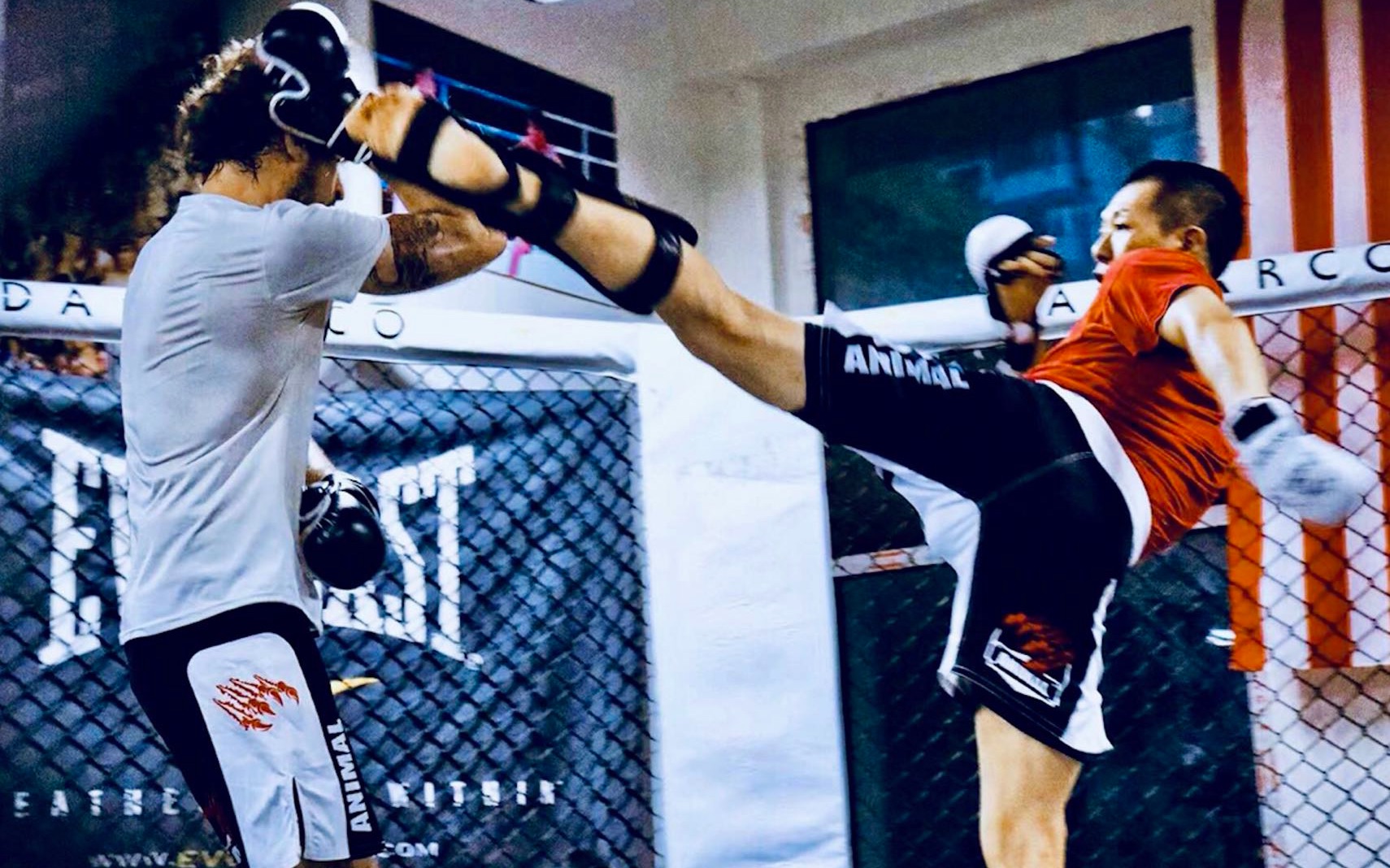 纪录短片, 综合格斗冠军带你进入从素人到mma选手的蜕变之旅_哔哩哔哩