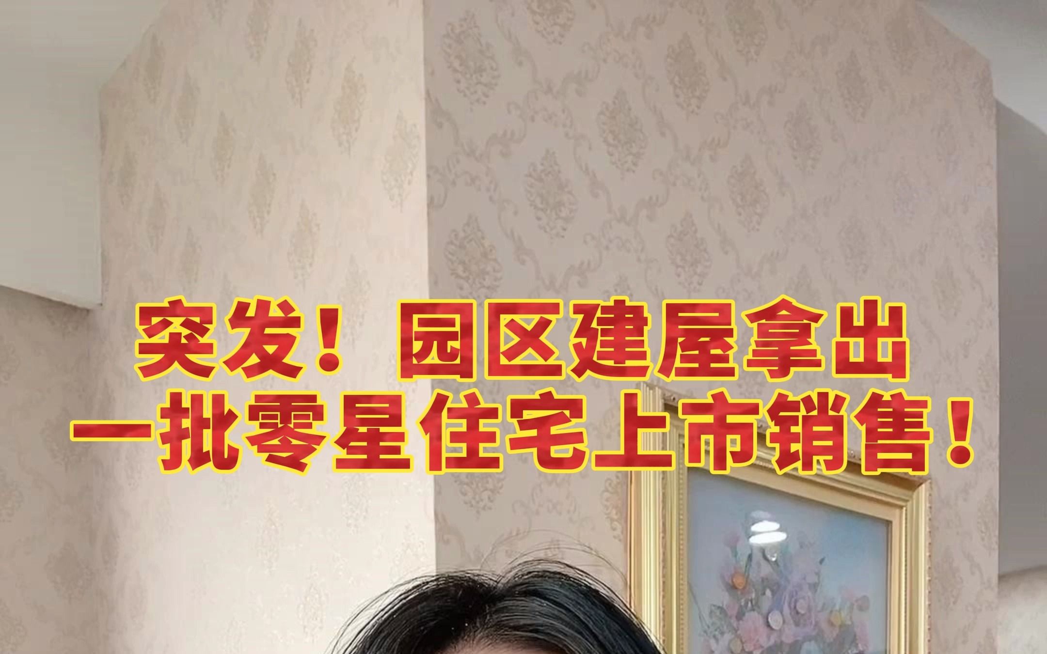 什么?!园区建屋竟然还有低价房!哔哩哔哩bilibili