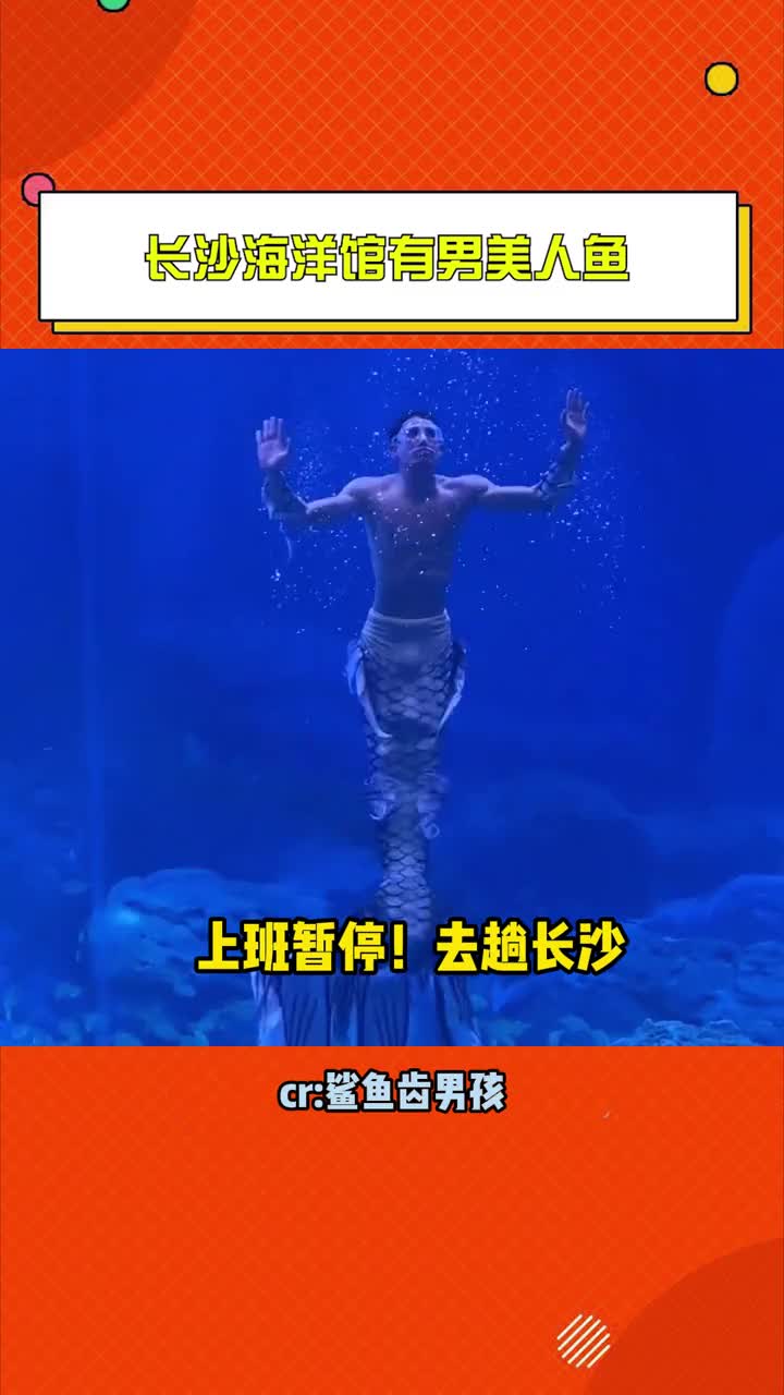 长沙海洋馆有男美人鱼 好好好这么勾引我是吧!#长沙海洋馆