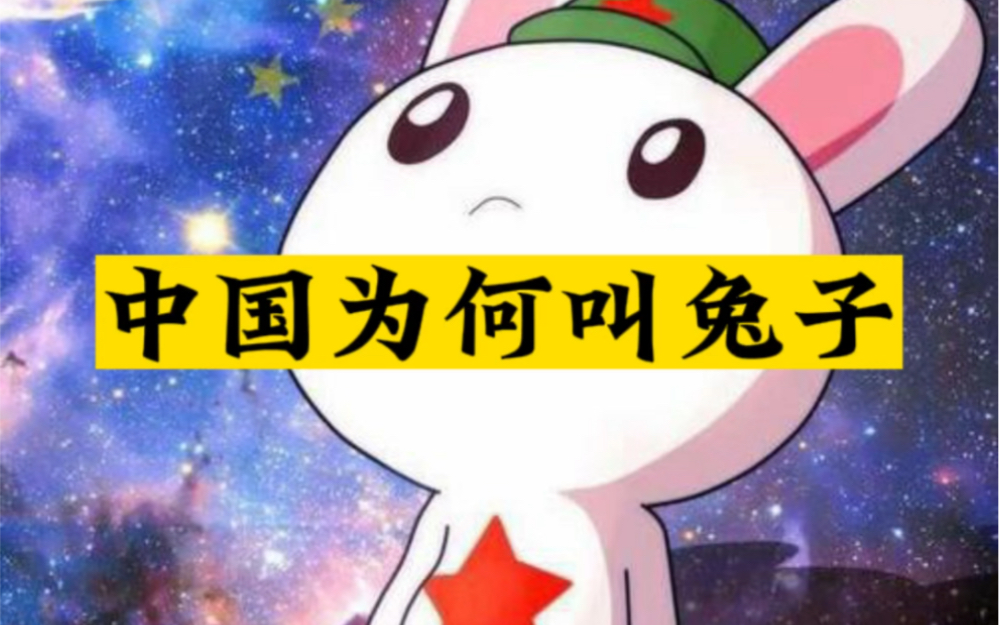 中国为何叫兔子哔哩哔哩bilibili