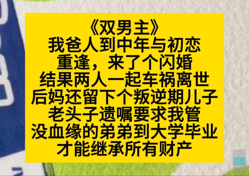 原耽推文 我爸人道中年与初恋重逢,来了个闪婚,结果两人一起车祸遇难……哔哩哔哩bilibili