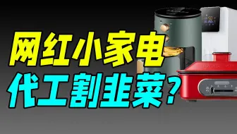 代工、贴牌、造假？网红小家电背后，你不知道的秘密！