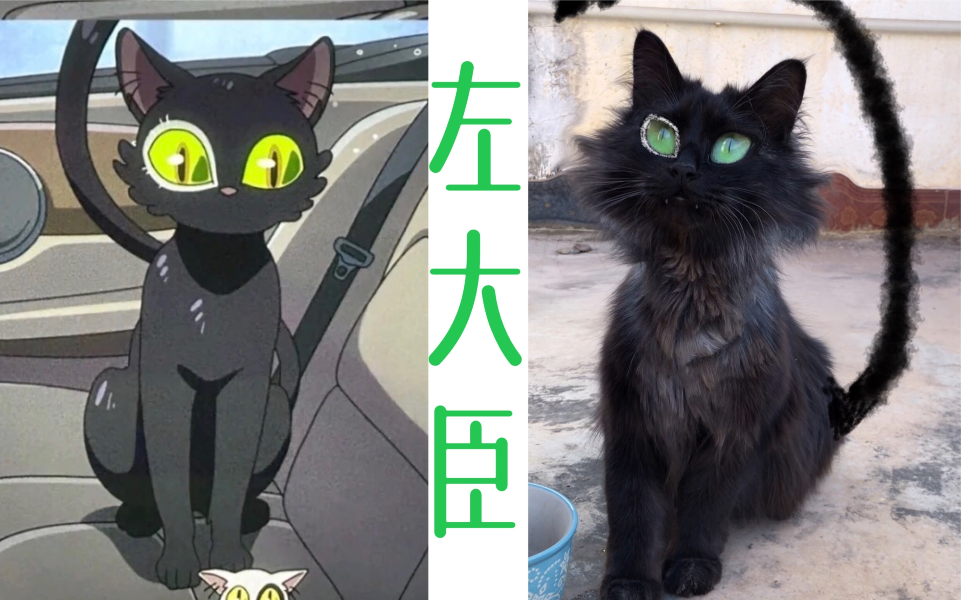 左大臣!绿眼睛黑猫赛高!cos不了跟风p一个