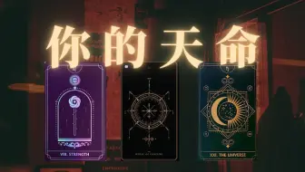 你的「天命所在」