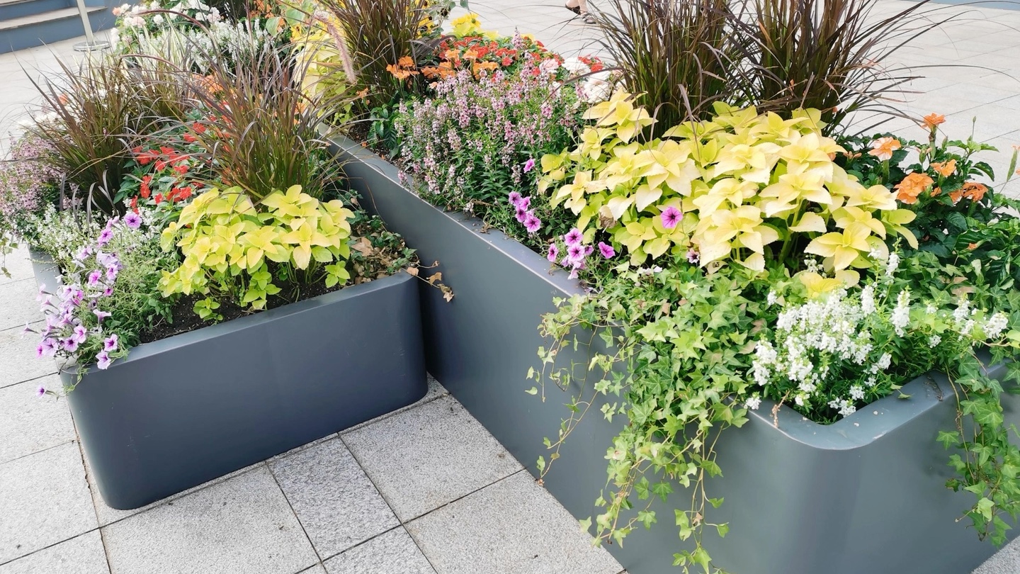 杭州亚洲花卉主题公园为亚运会锦上添花