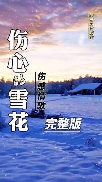 伤心的雪花 