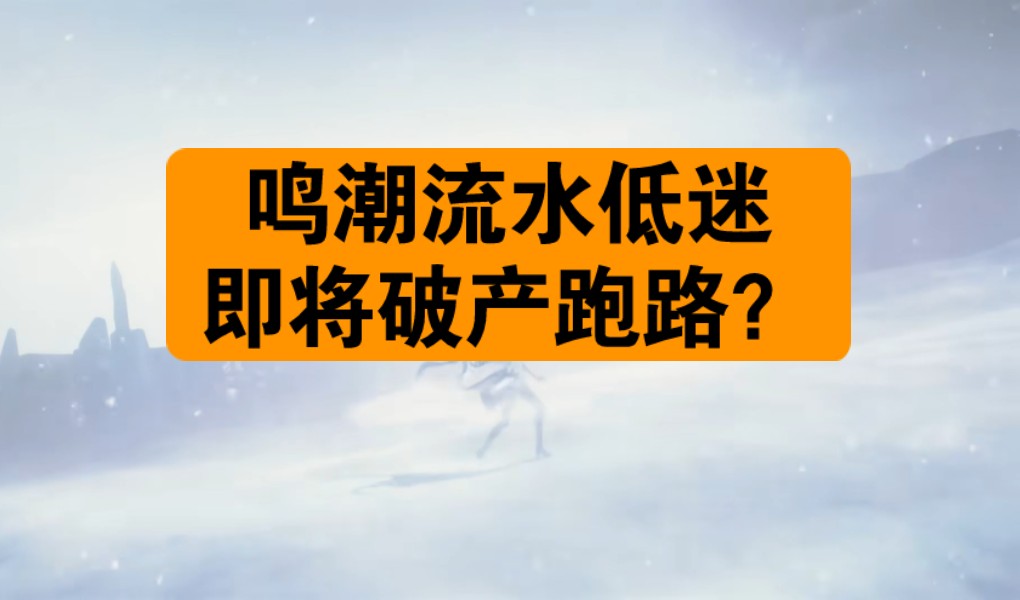 点评一下网传鸣潮流水爆s哔哩哔哩bilibili