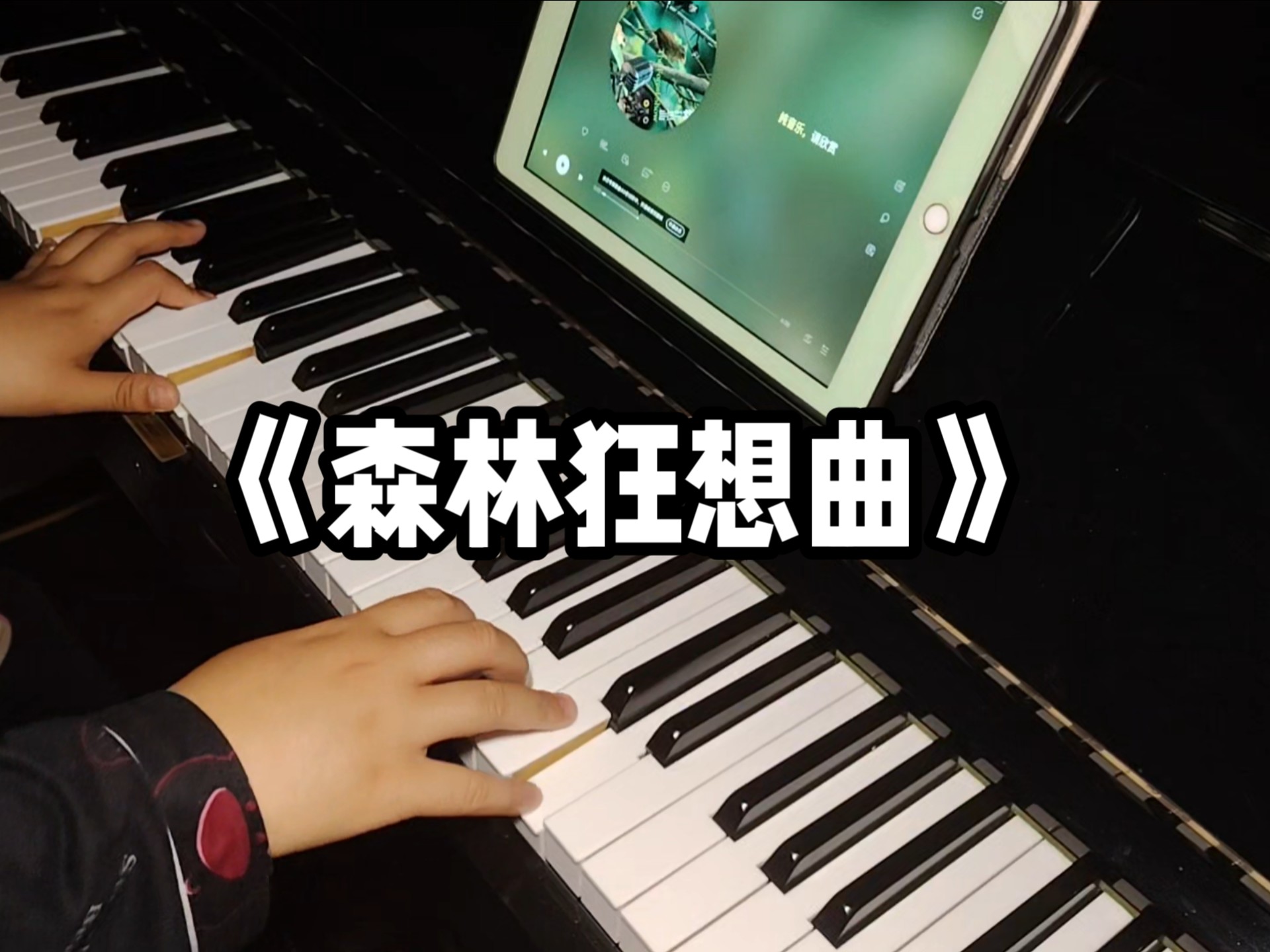 《森林狂想曲》钢琴版 吴金黛 一键三连 谢谢