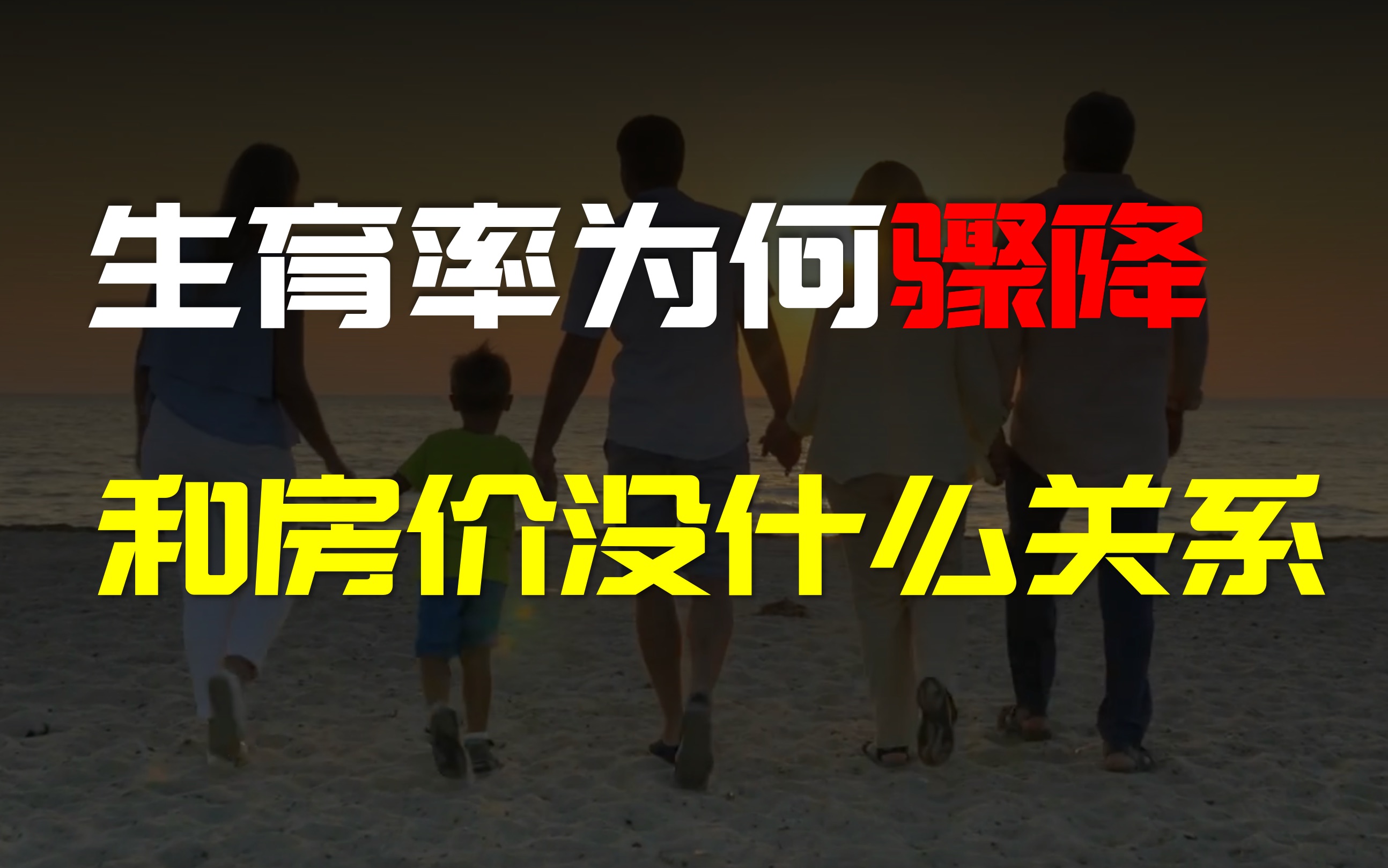 给你讲清楚到底是什么在影响生育率,房价?工资?都不是哔哩哔哩bilibili