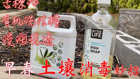 想要种的蔬菜少生病虫害对土壤的杀菌消毒非常重要 哔哩哔哩 Bilibili