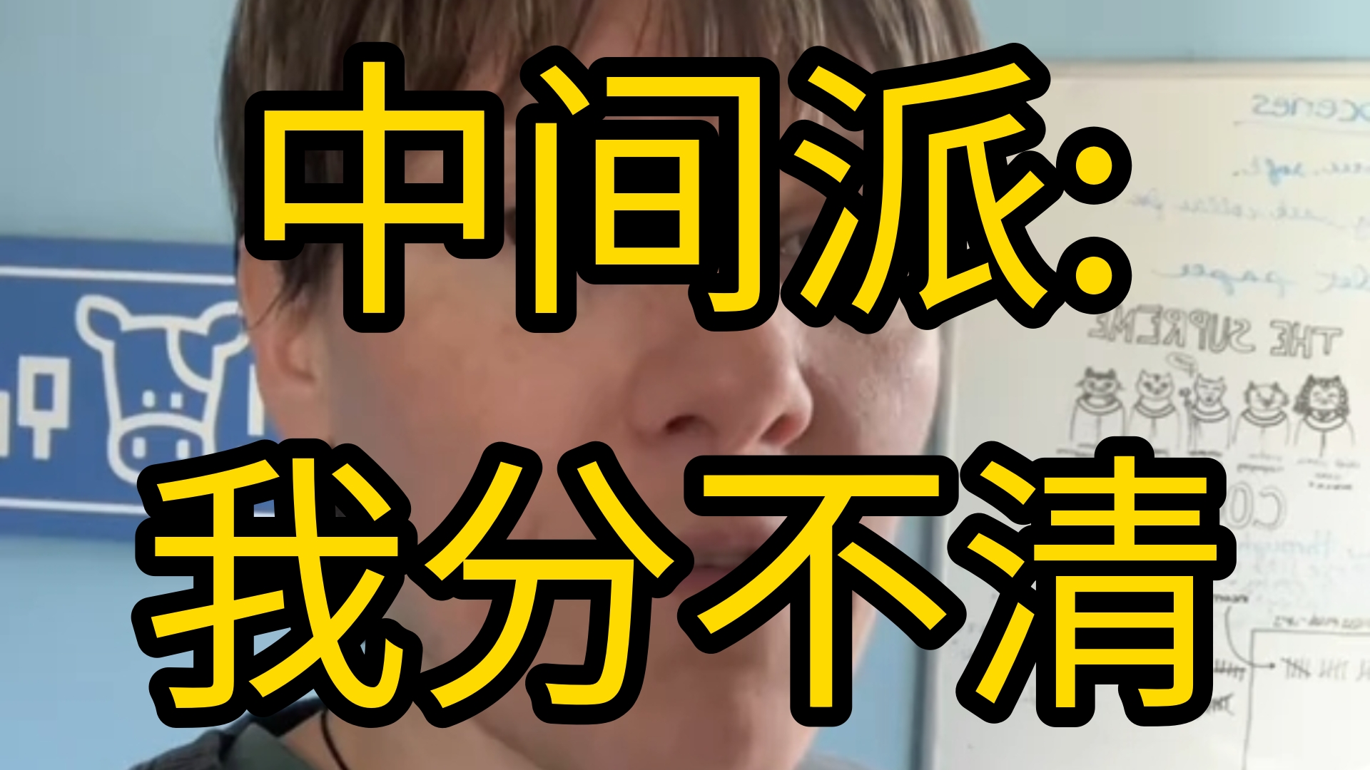 从历史上看,中间派站队共产主义之前通常会支持法西斯哔哩哔哩bilibili