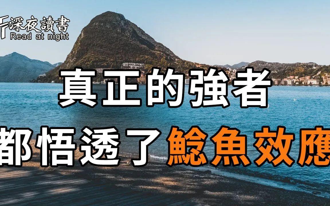 鸟有鸟迹,鱼有鱼道!真正厉害的人,都离不开这个「鲶鱼效应」!悟透的,比中亿万彩票还赚【深夜读书】哔哩哔哩bilibili