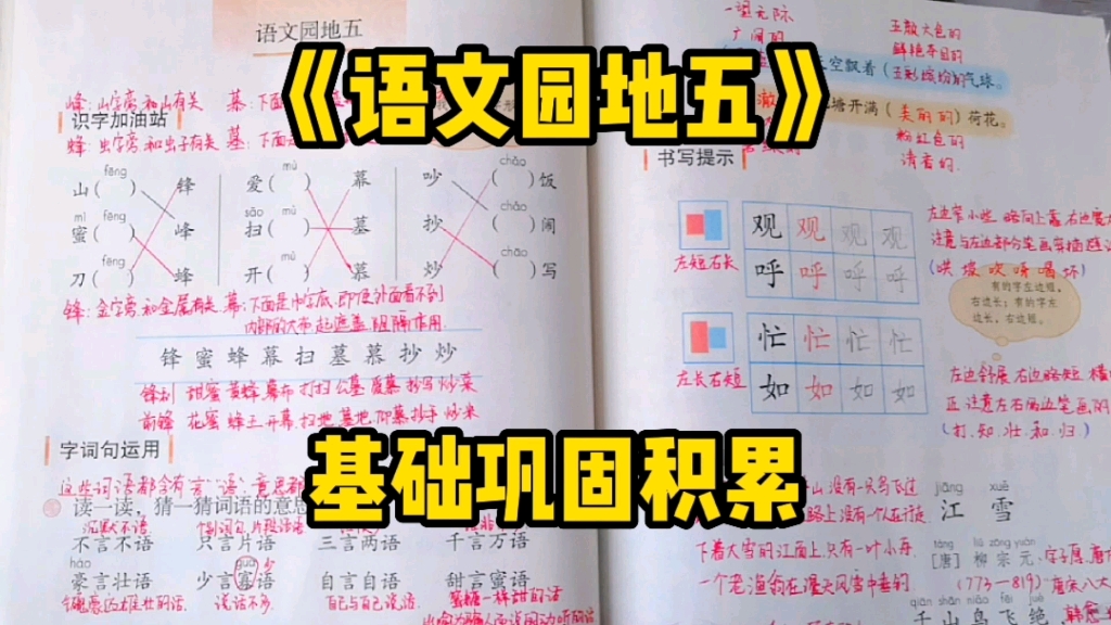 二年级语文上册:《语文园地五》基础知识巩固与积累!一定要牢记哦!哔哩哔哩bilibili