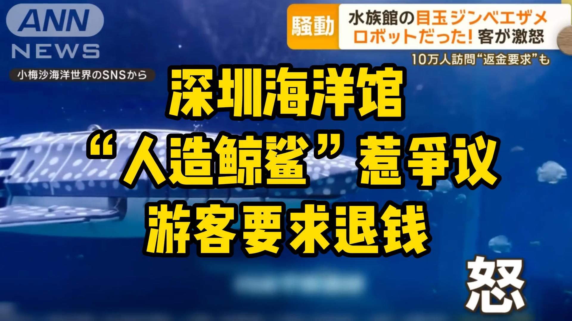 刚开业就“作死”了?以为是真鲸鲨买票入馆观看结果是“人造机械鱼”……哔哩哔哩bilibili