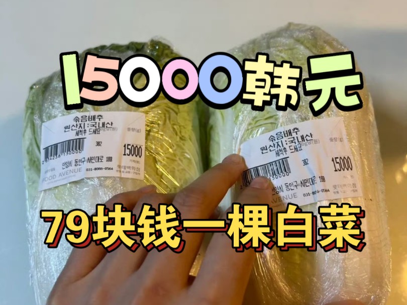 户晨蜂说韩国外卖员一天赚800元,相当于一天工资能买十颗白菜,然后房租水电出行保险医疗教育都不需要考虑.哔哩哔哩bilibili