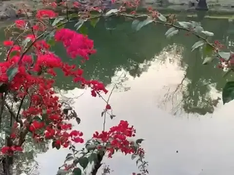 小小花