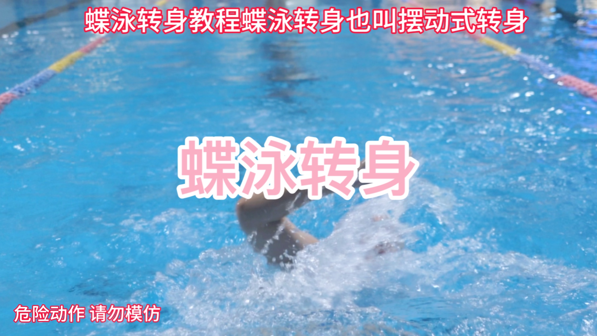 蝶泳转身教程#咖啡猫带你考救生员[话题]# #咖啡猫带你学游泳[话题]