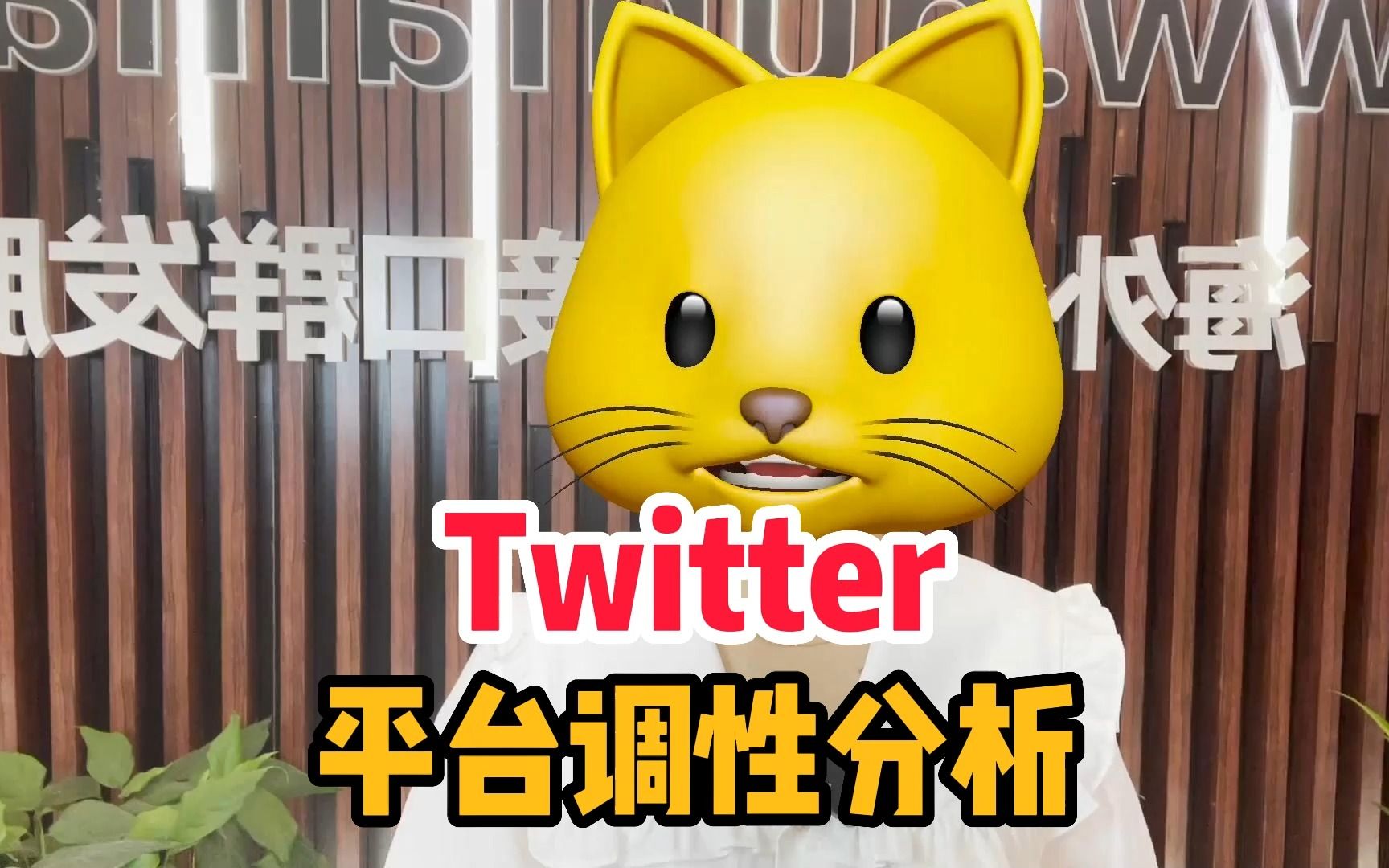 Twitter平台调性分析哔哩哔哩bilibili