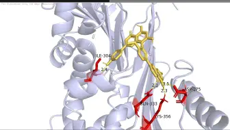 Pymol-分子对接可视化分析(下)-傻瓜式教程