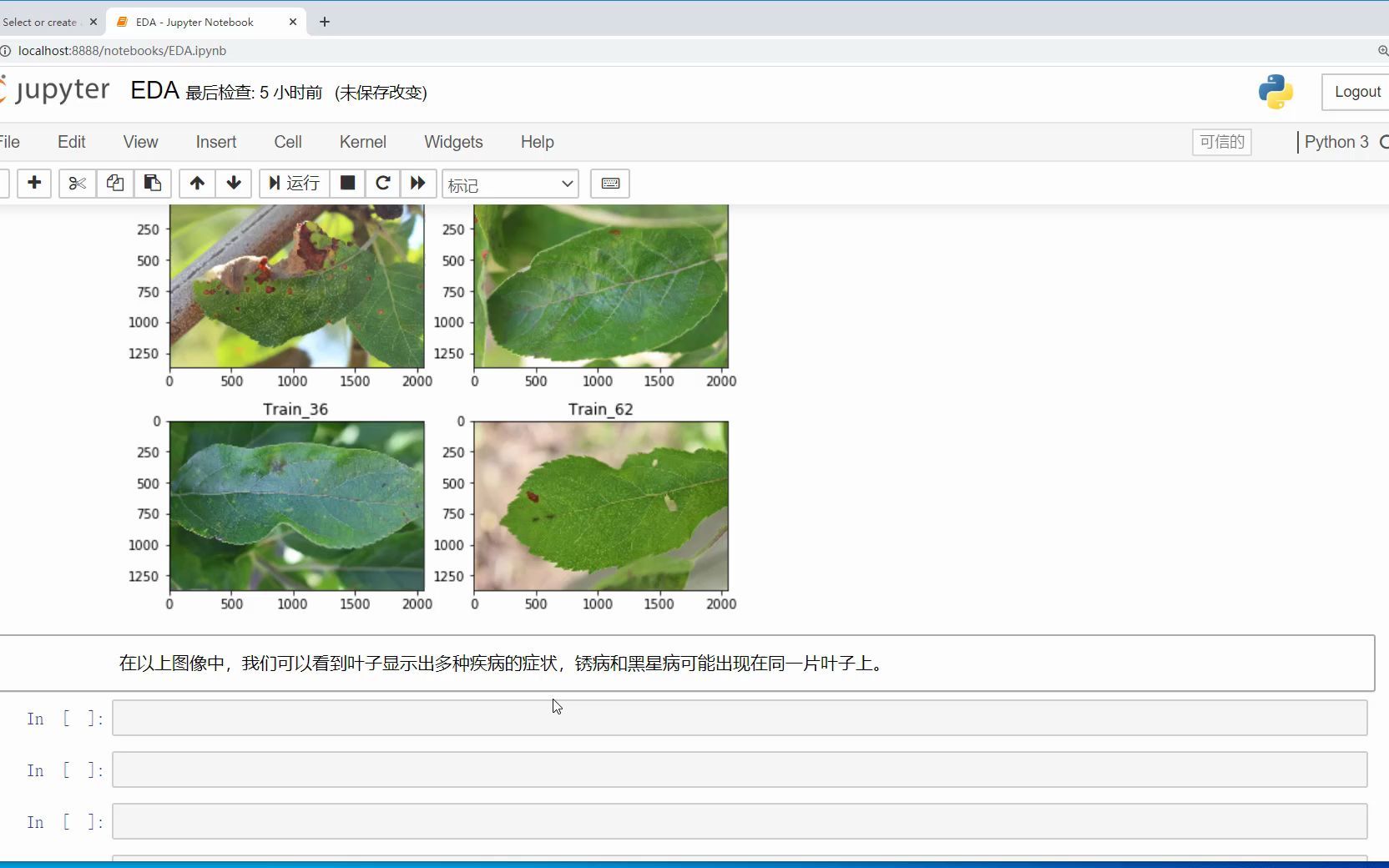 7.4 叶片图像分类观察哔哩哔哩bilibili