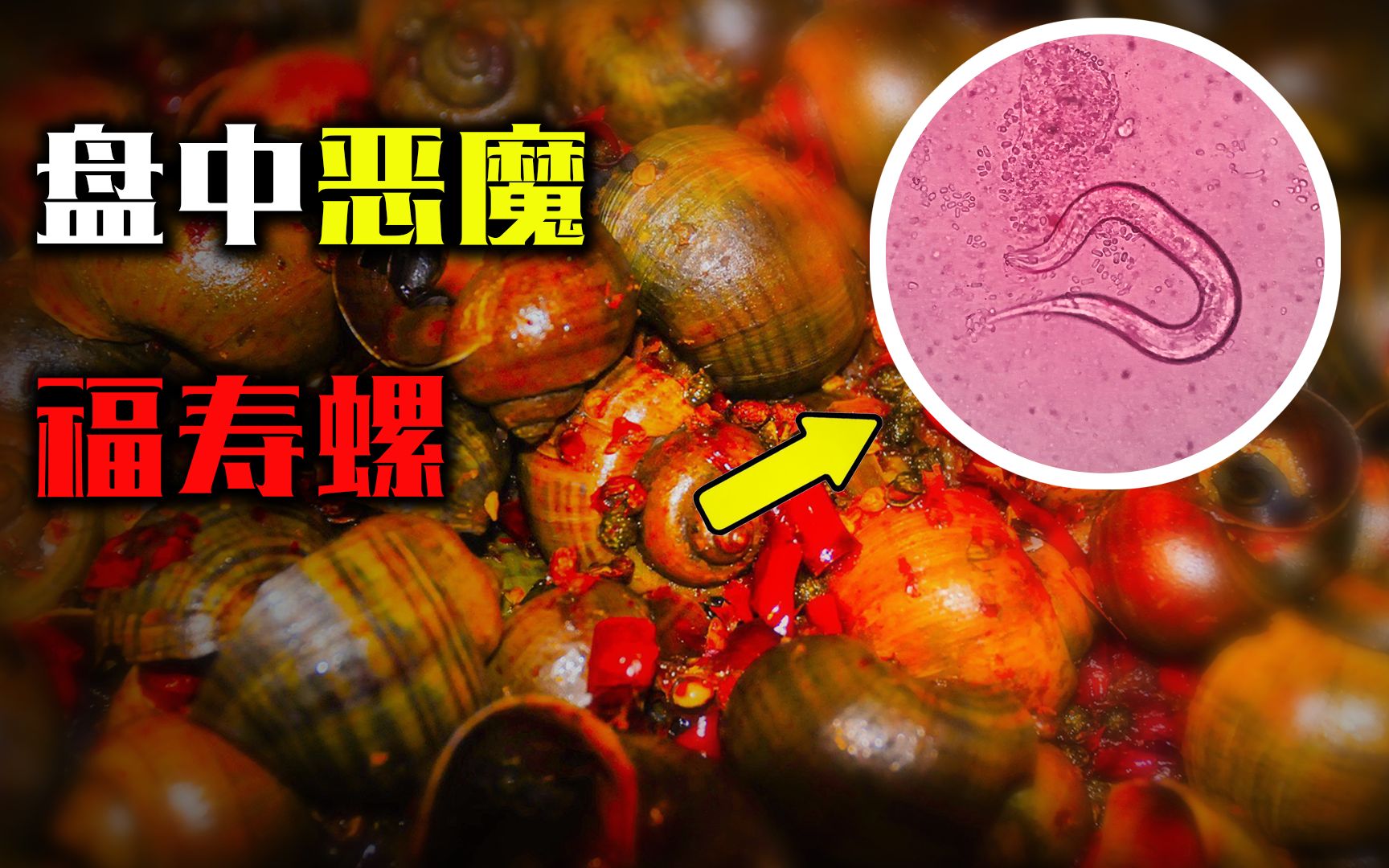 福寿螺有多可怕?体内含有6000条寄生虫,在日本却成了抢手货