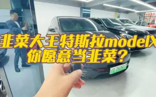 Tải video: 真正的韭菜大王特斯拉modelX，为什么这么多中国人愿意当韭菜？