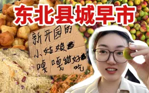 Descargar video: 东北县城的早市竟然这么好逛？！2块钱的李子5块钱的鱼，黏糊糊的大黄米饭香zhuai了！