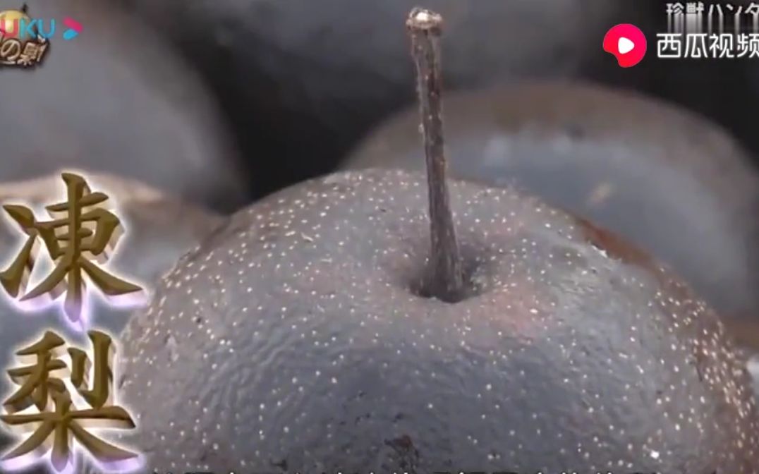 日综粗眉姐井本绚子吃中国东北的冻梨一度质疑是坏的还是吃的挺香