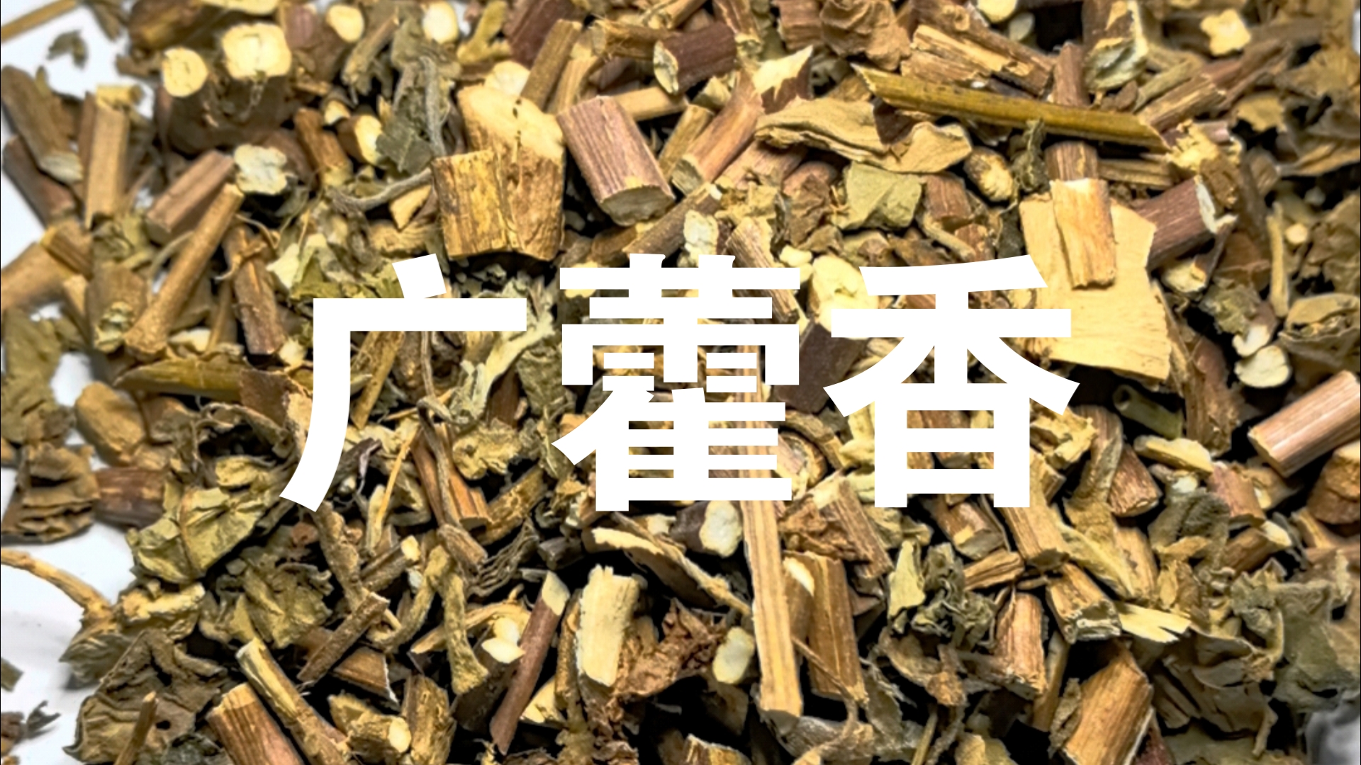 中药材广藿香,俗称藿香,中暑经常用到