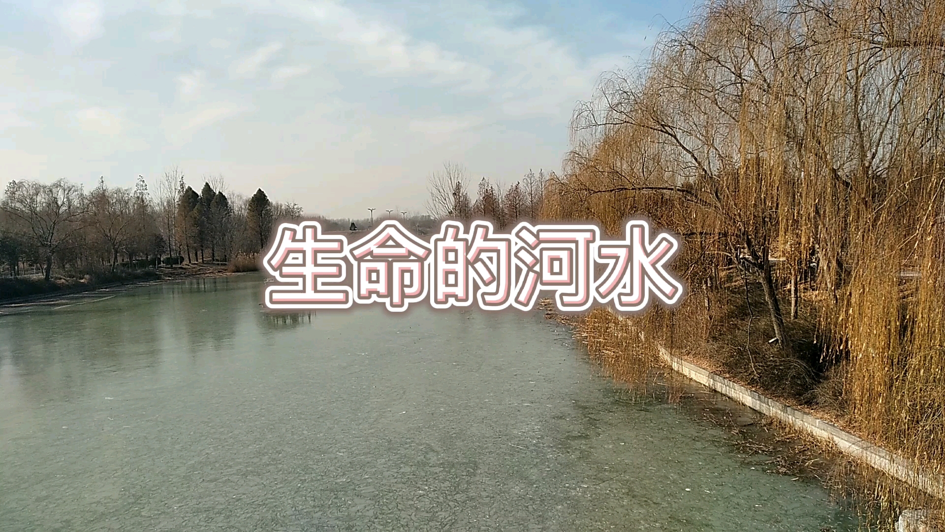 生命的河水哔哩哔哩bilibili