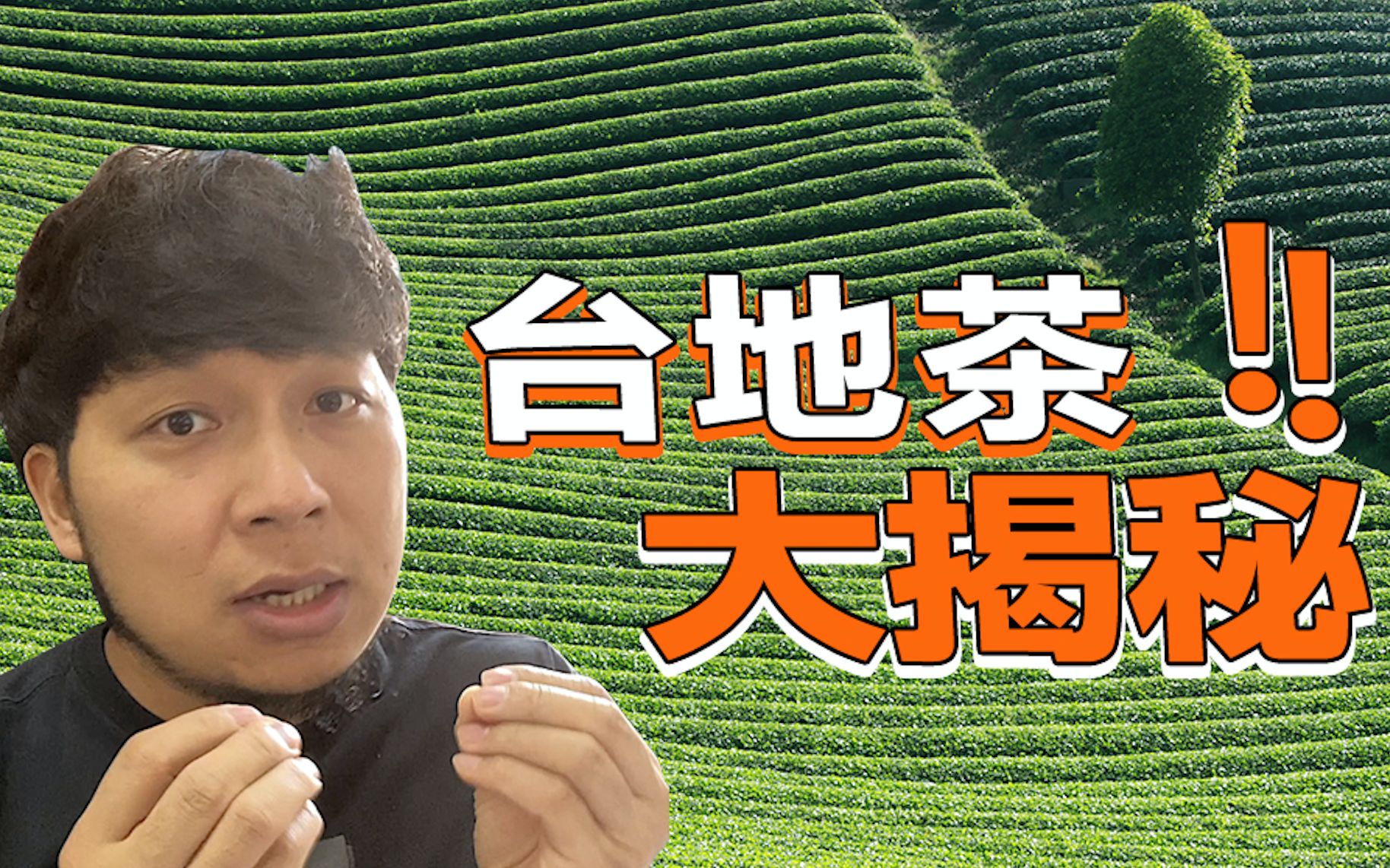 [图]茶界避而不谈的“台地茶”，内幕大揭秘！茶山TV 142