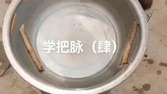 中医把脉入门（肆）