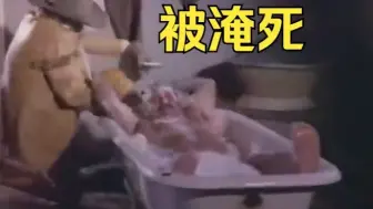 Download Video: 肉壮毛熊被淹死