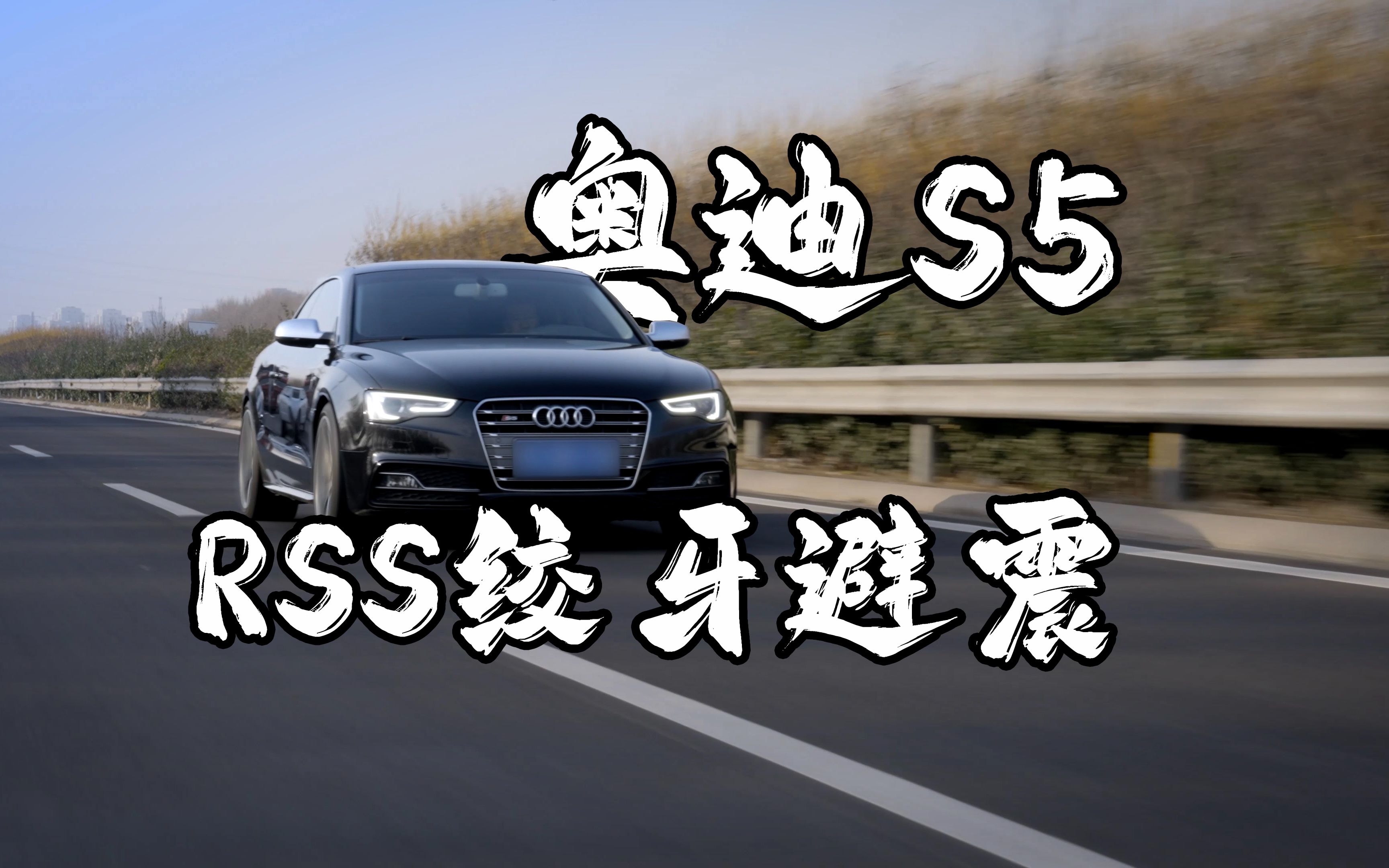 【rss】奥迪s5升级rss绞牙避震