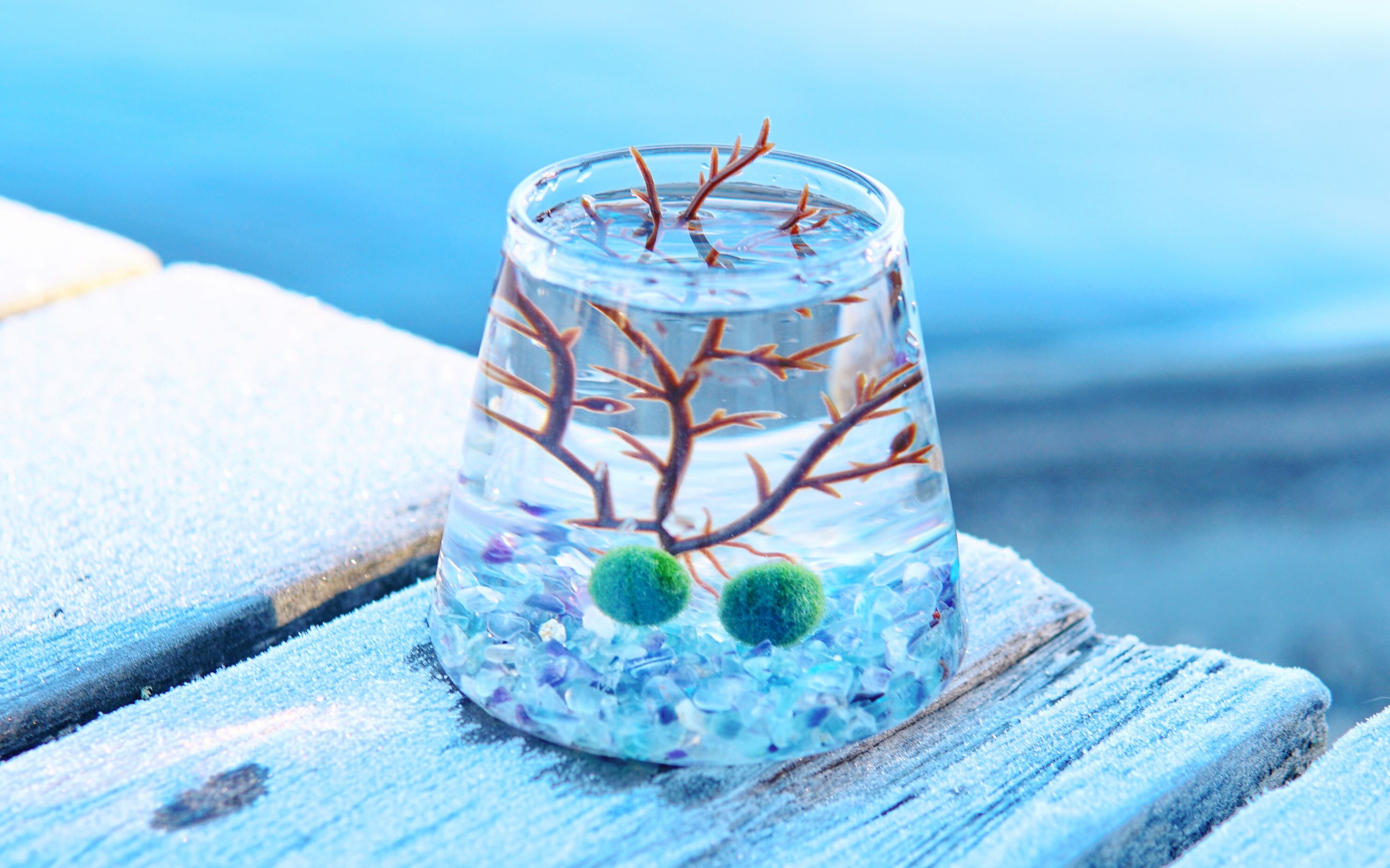 marimo time 阿寒湖边的富士山 回到故乡の球藻