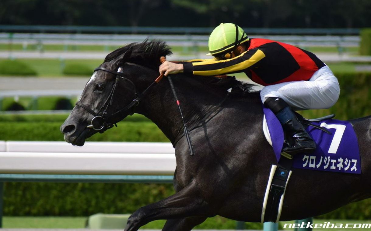 【赛马】2019年牝马三冠|樱花赏,优骏牝马,秋华赏【放声欢呼/唯独爱你