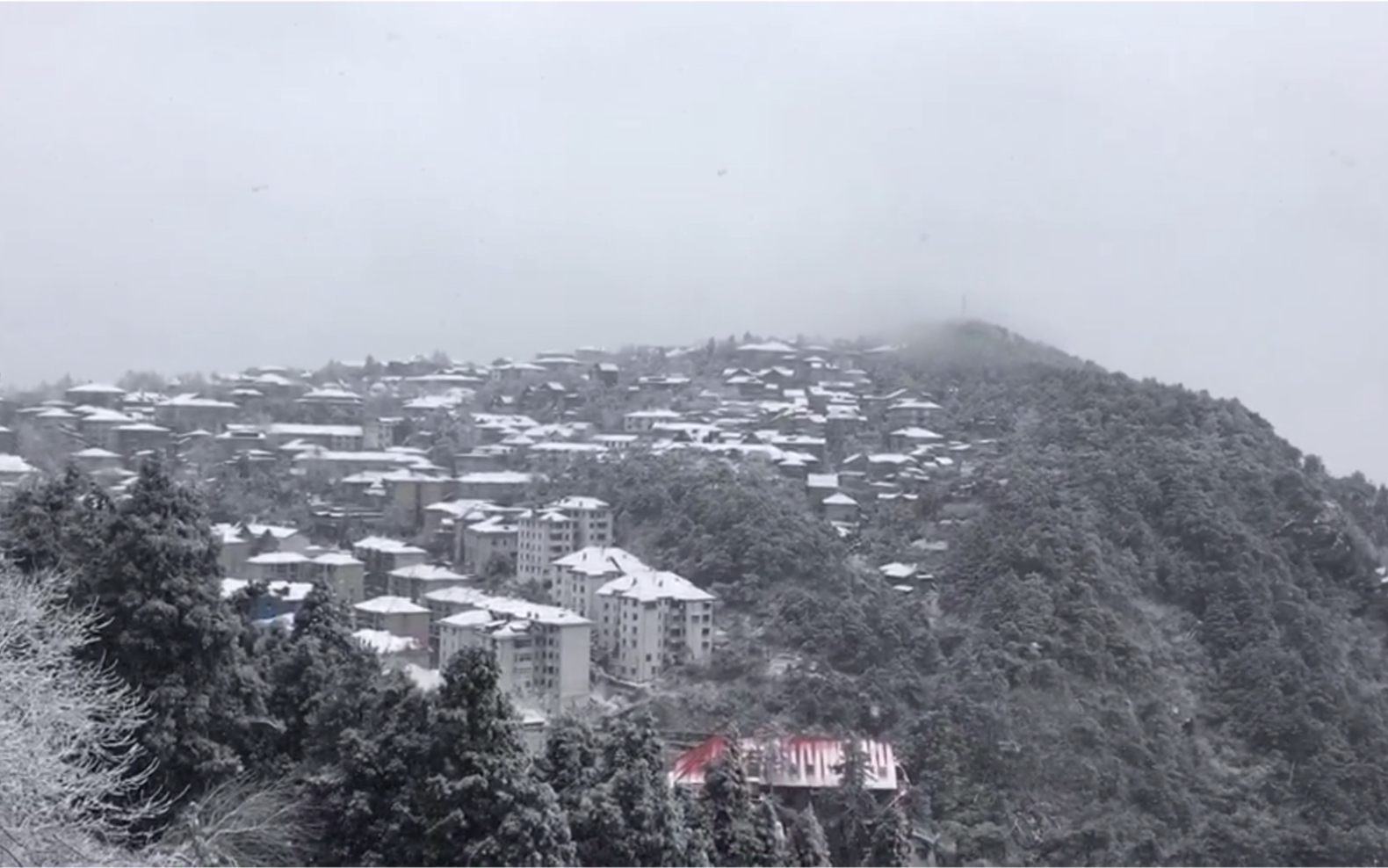 [图]不常见的庐山雪，晶莹剔透的美