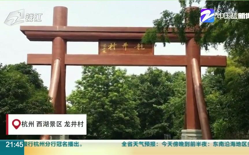 【浙江杭州】西湖景区龙井村现“神翻译” 外国游客看懵了哔哩哔哩bilibili