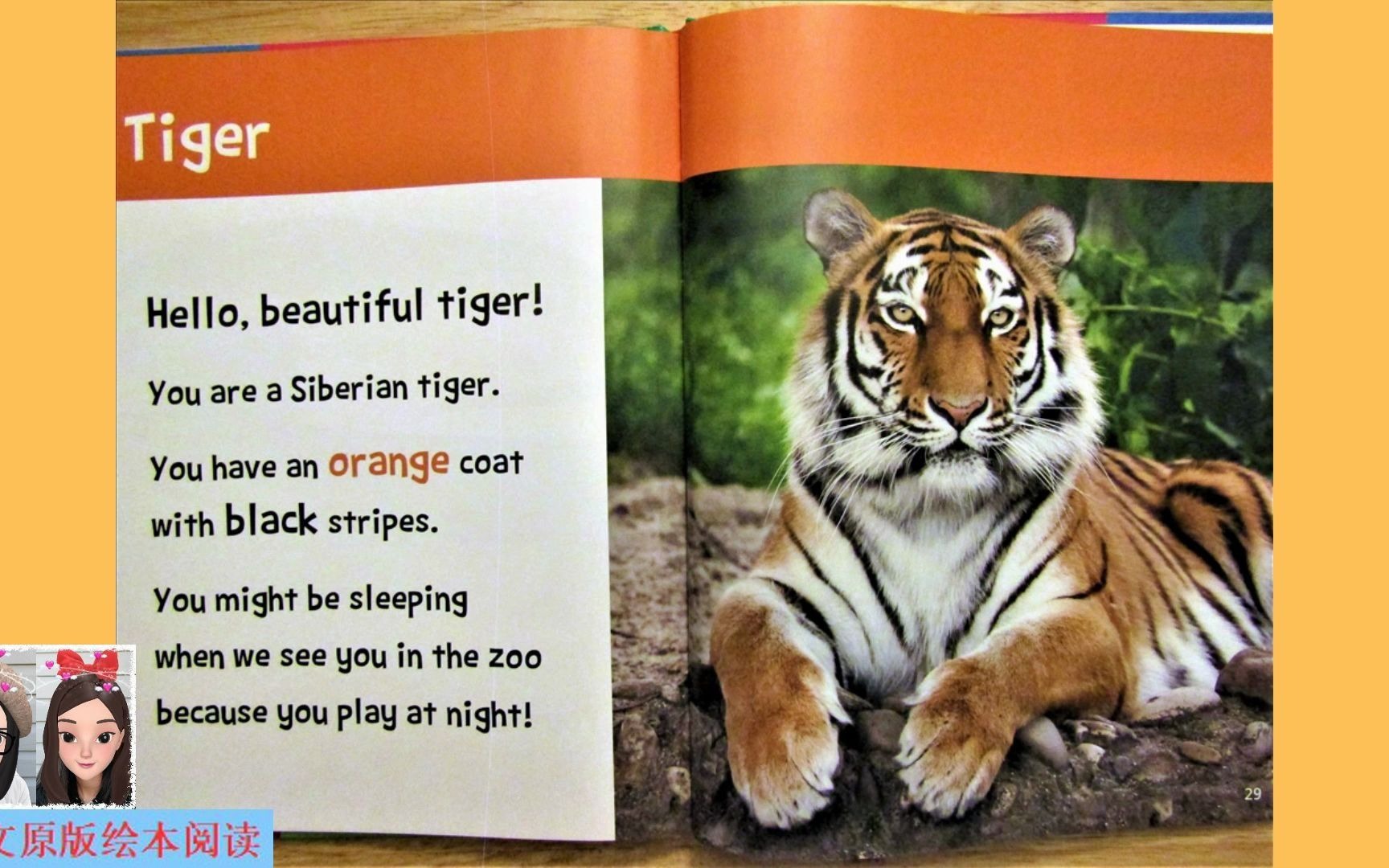 [图]【英文绘本阅读】Hello, Beautiful! Zoo Animals: tiger 《你好，美丽！动物园动物篇》之老虎