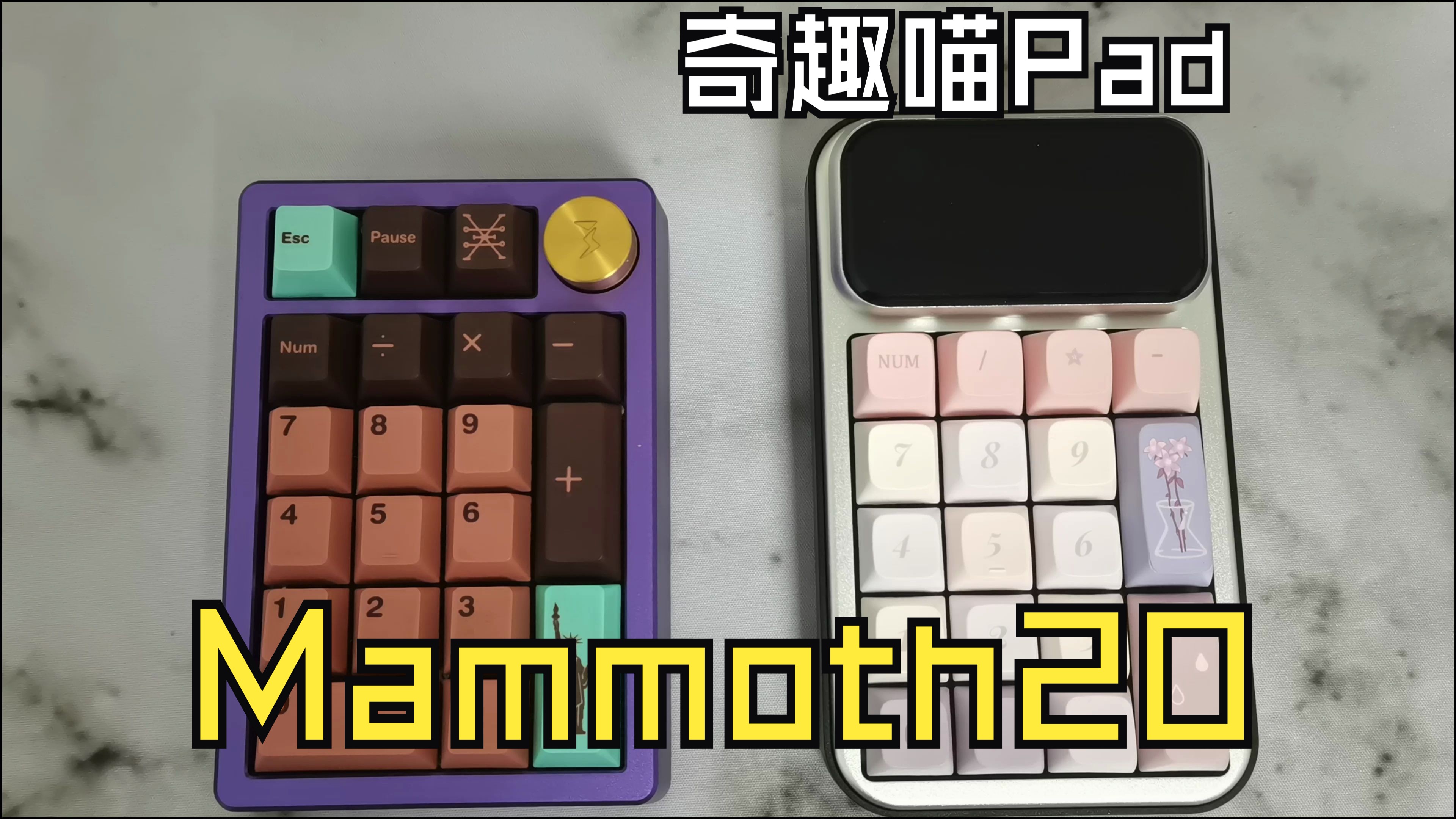 Mammoth20 Pad 丨 奇趣喵 Pad哔哩哔哩bilibili