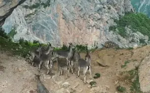 下载视频: 男子旅行时发现山上有个洞被云遮住，用无人机一探究竟，发现景色宛如仙境